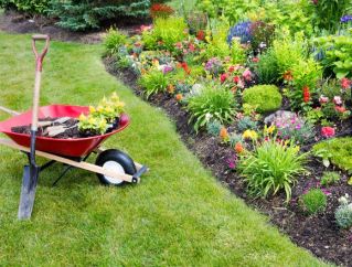 Landscape Trimming and Spring Cleaning Services Brampton