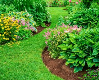 Exodus Landscaping understands that a clean and smooth border design and edge compliments a gardens flower and dimension