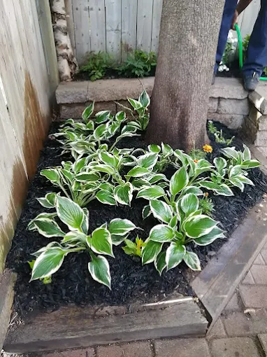 WhatsApp Image 2022-06-16 at 6.42.22 PM - Copy - Copy